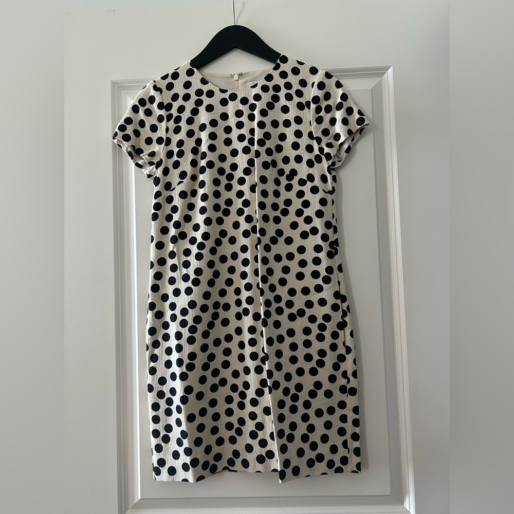 J Crew Dress